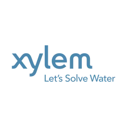 Xylem
