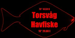 Torsvåg Sea-Adventure AS