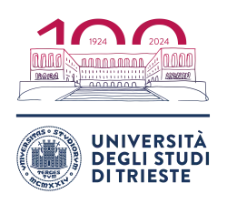 University of Trieste 