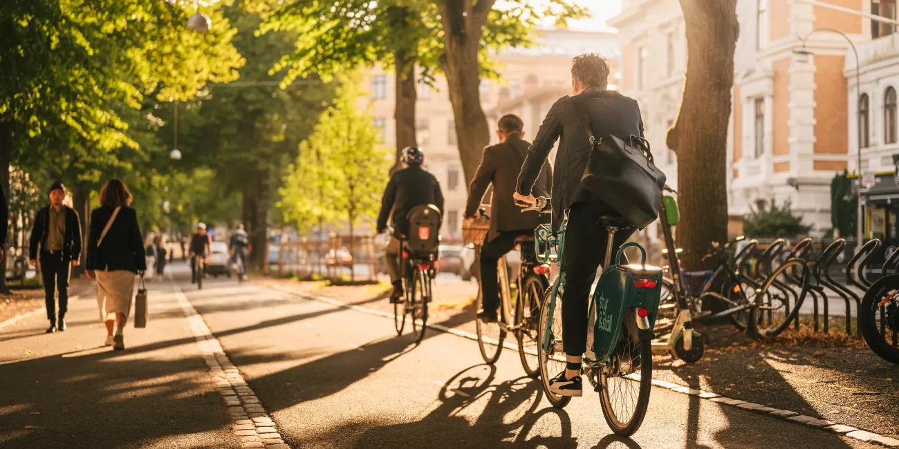 people in suits cycling in the park