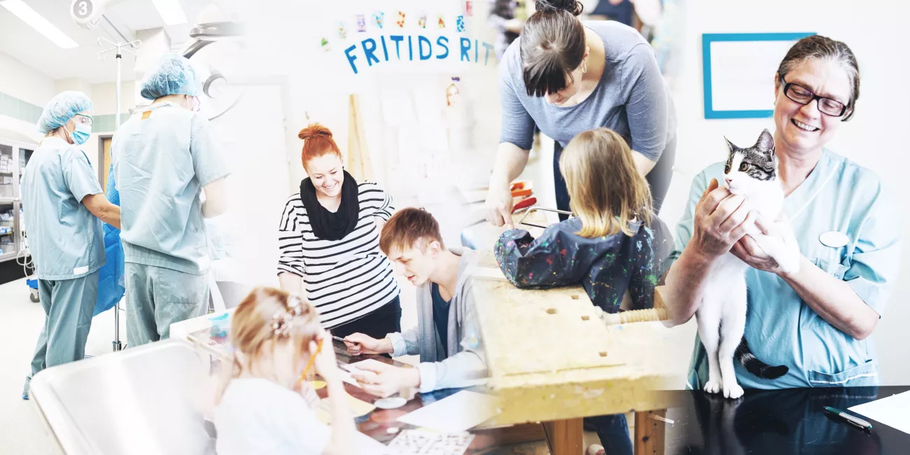 Veterinarians at work with animals